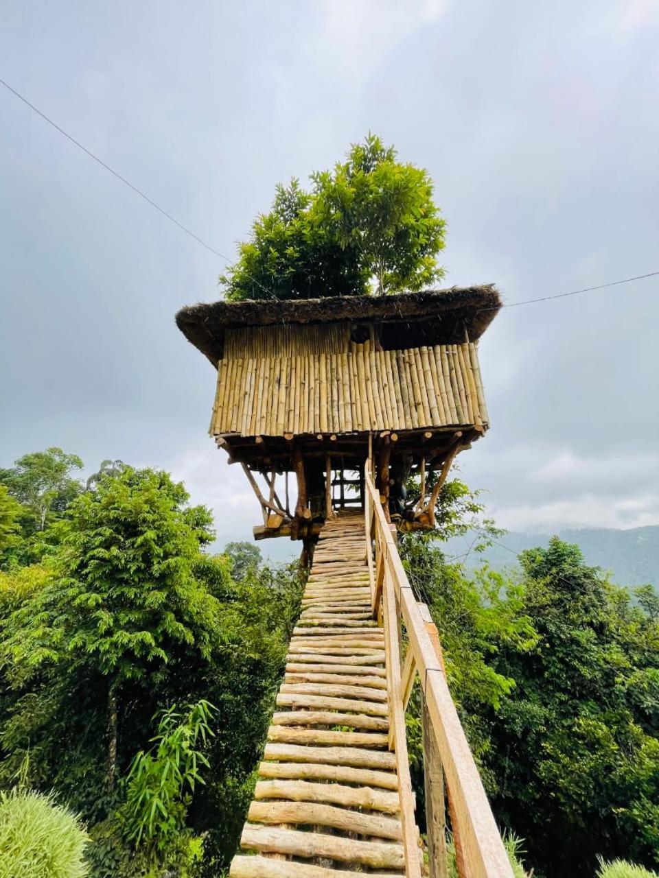 Вилла Palkulam Heights Kumudi Экстерьер фото